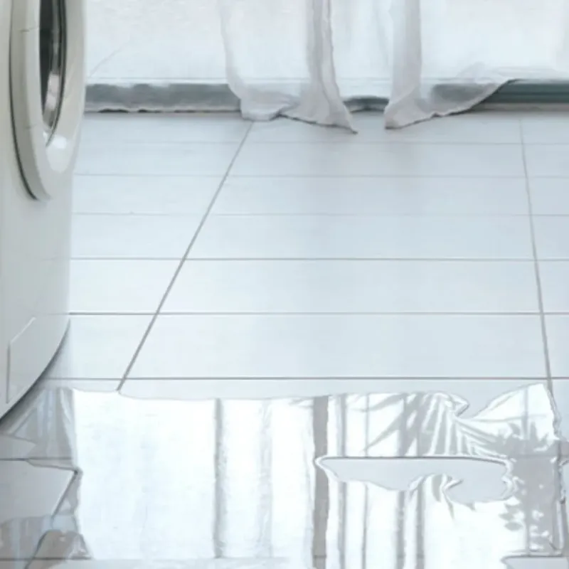 Appliance Leak Cleanup in Sutter Creek, CA